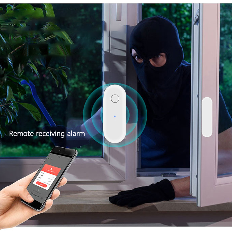 Door Window Sensor - Rilevatore Magnetico Intelligente Wi-Fi per Porte