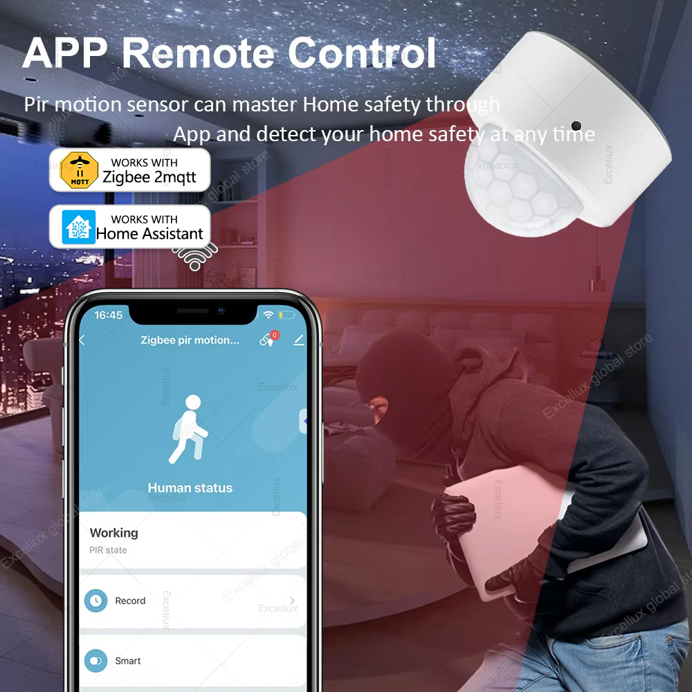 Sensore di movimento PIR ZigBe - Pir Motion Sensor recensione e prezzo
