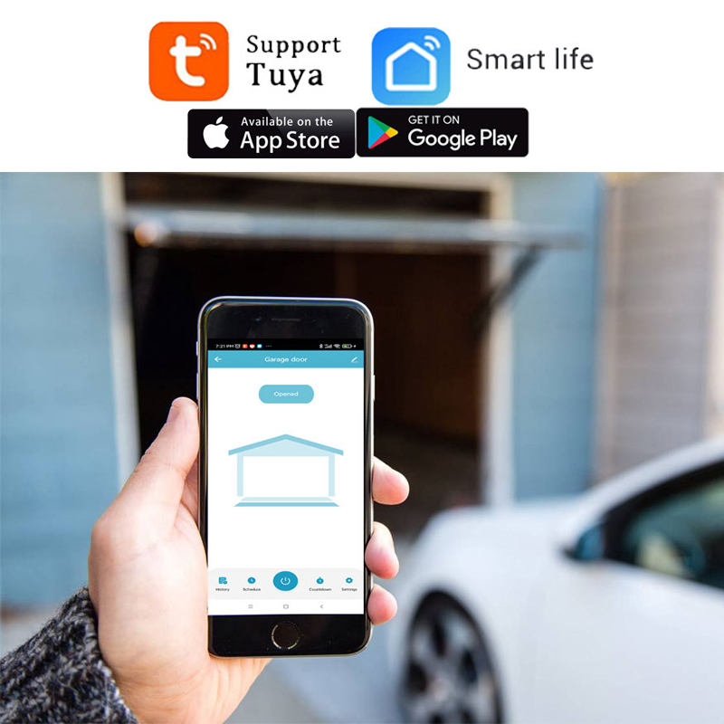 TUYA WIFI 2.4G Controller per  - Smart Garage Door Opener recensione e prezzo