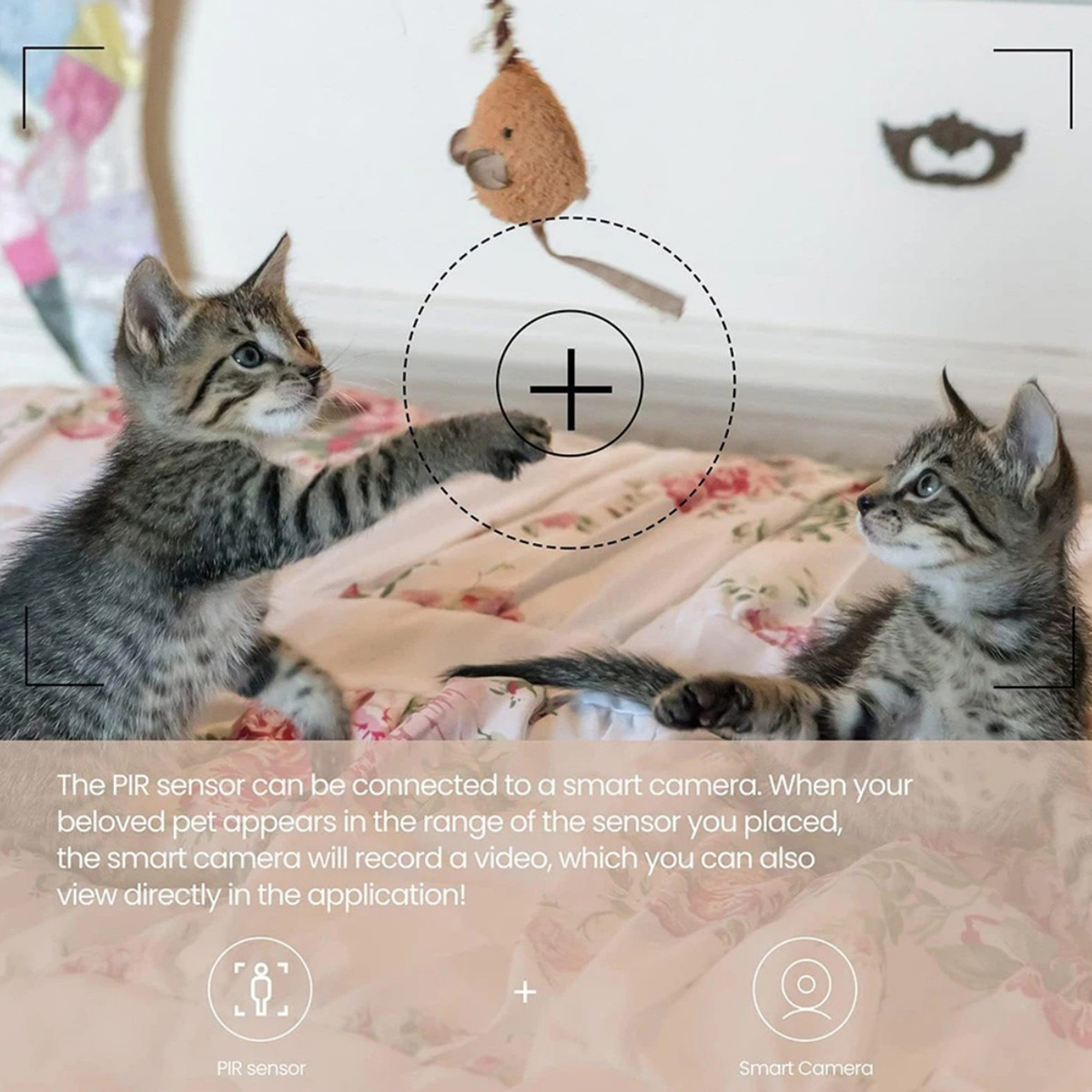 Sensore di Movimento PIR ZigBe - Pir Motion Sensor recensione e prezzo