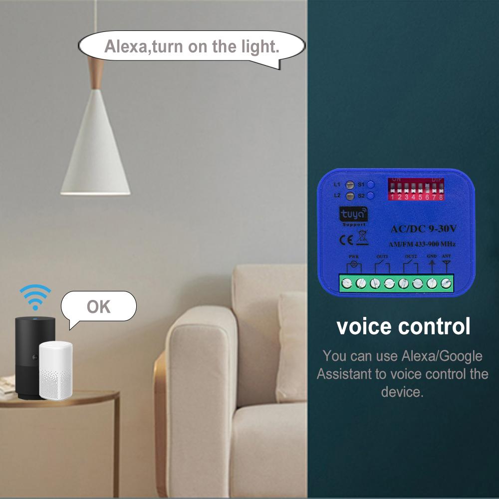 Telecomando WiFi 2CH 433-868MH - Smart Garage Door Opener recensione e prezzo