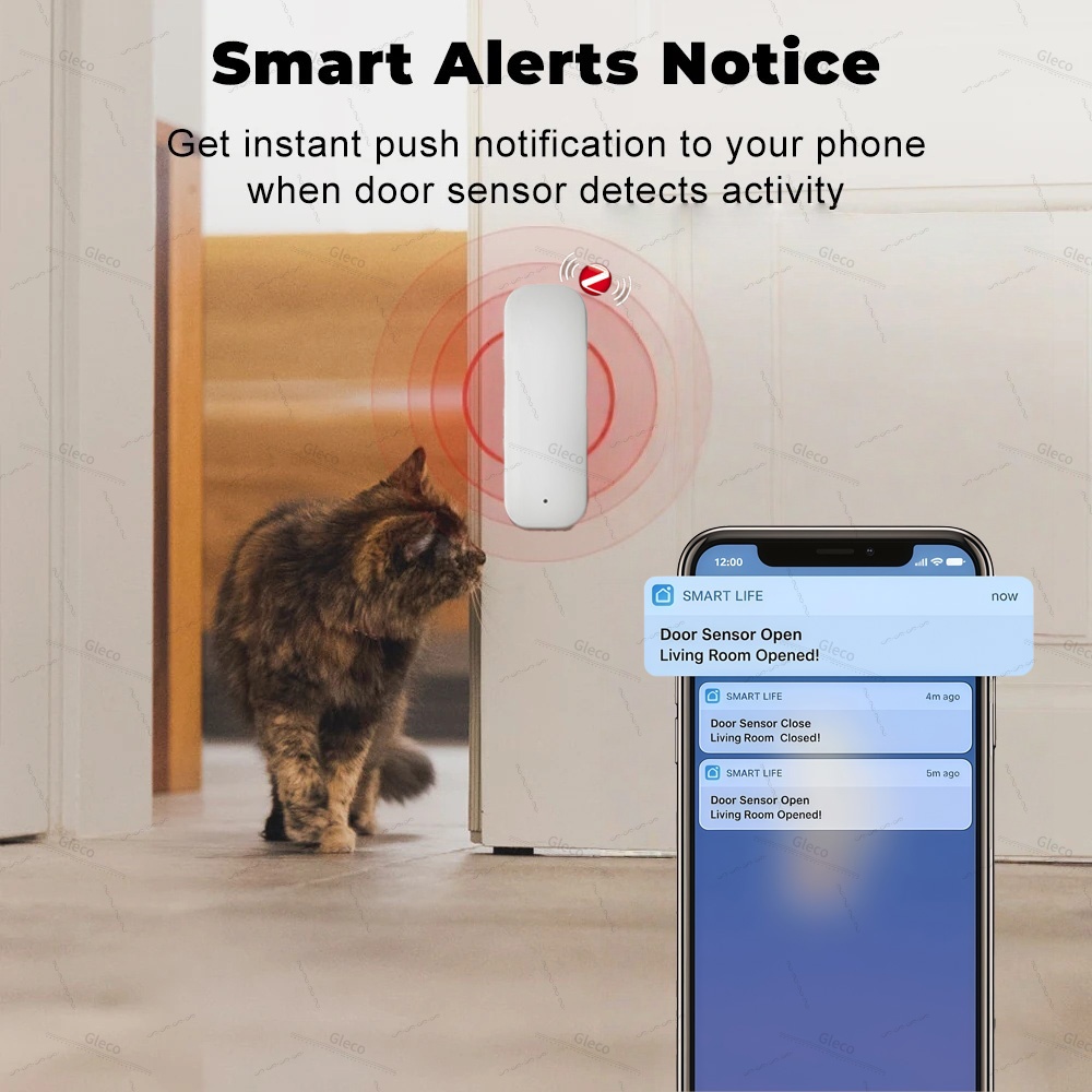 Tuya Zigbee Sensore per porte  - Door Window Sensor recensione e prezzo